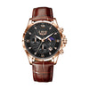 Mens Watches LIGE Top Brand Luxury Leather Casual Quartz Watch